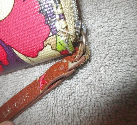 Picture 3 of 12