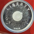 Bild 7 von 10