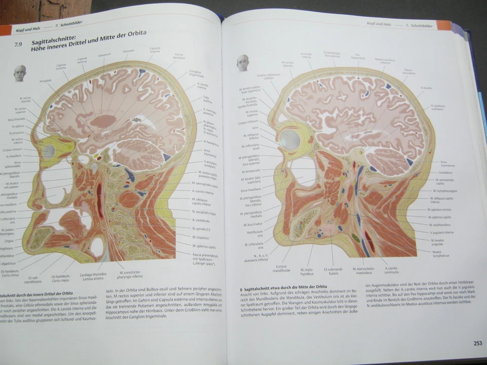 Prometheus Lernatlas der Anatomie Kopf, Hals und Neuroanatomie Michael Schünke - Bild 4 von 4