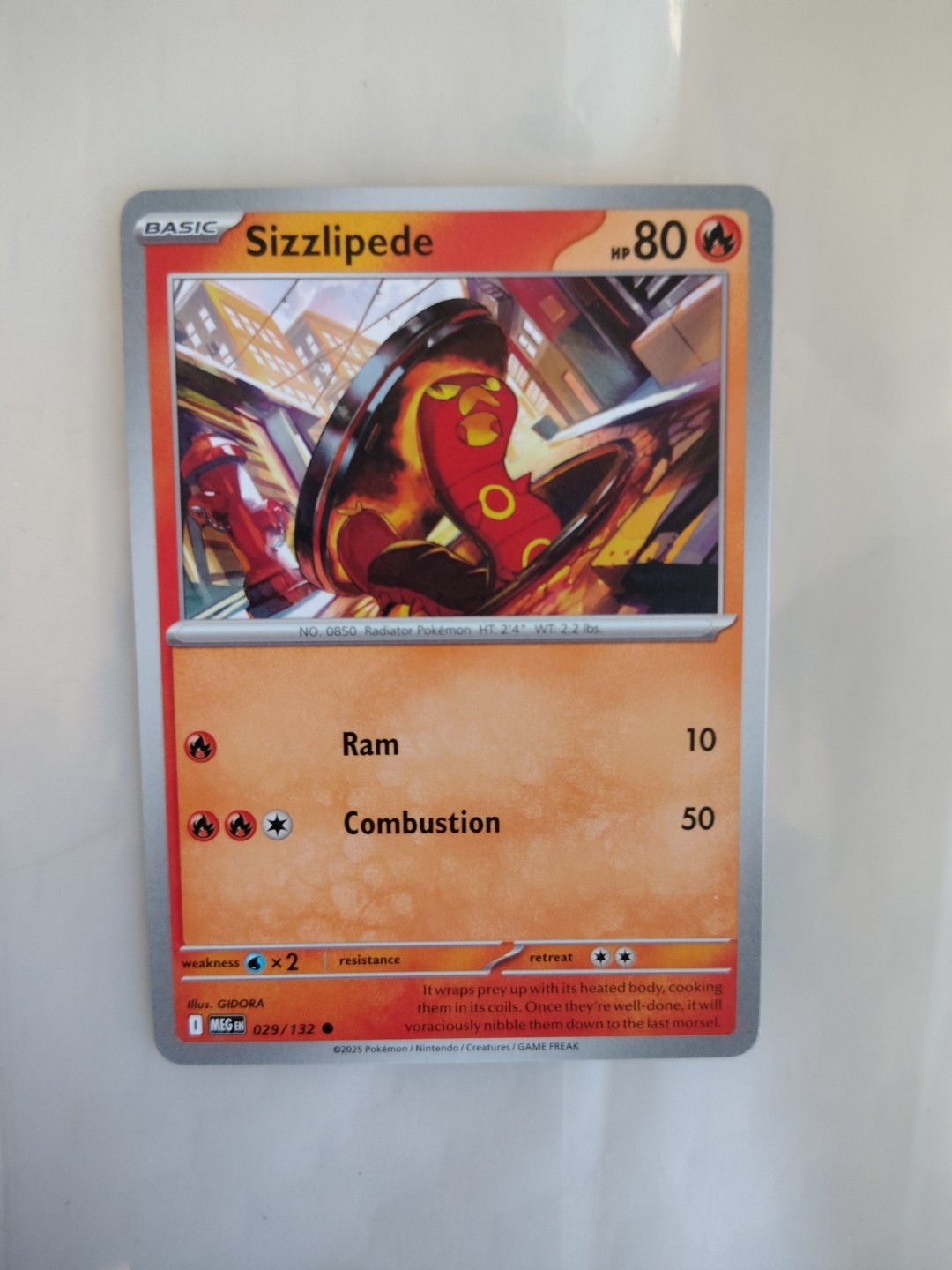 Sizzlipede - 029/132 - Pokémon Mega Evolution 2025 - Common NM