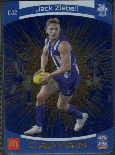 2021 AFL TEAMCOACH GOLD CAPTAIN CARDS & PRIZE CARDS; Individual Card Sale. - Bild 6 von 9