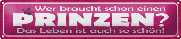 Blechschild Spruch 46X10Cm Wer Braucht Schon Einen Prinzen Dekoration-image