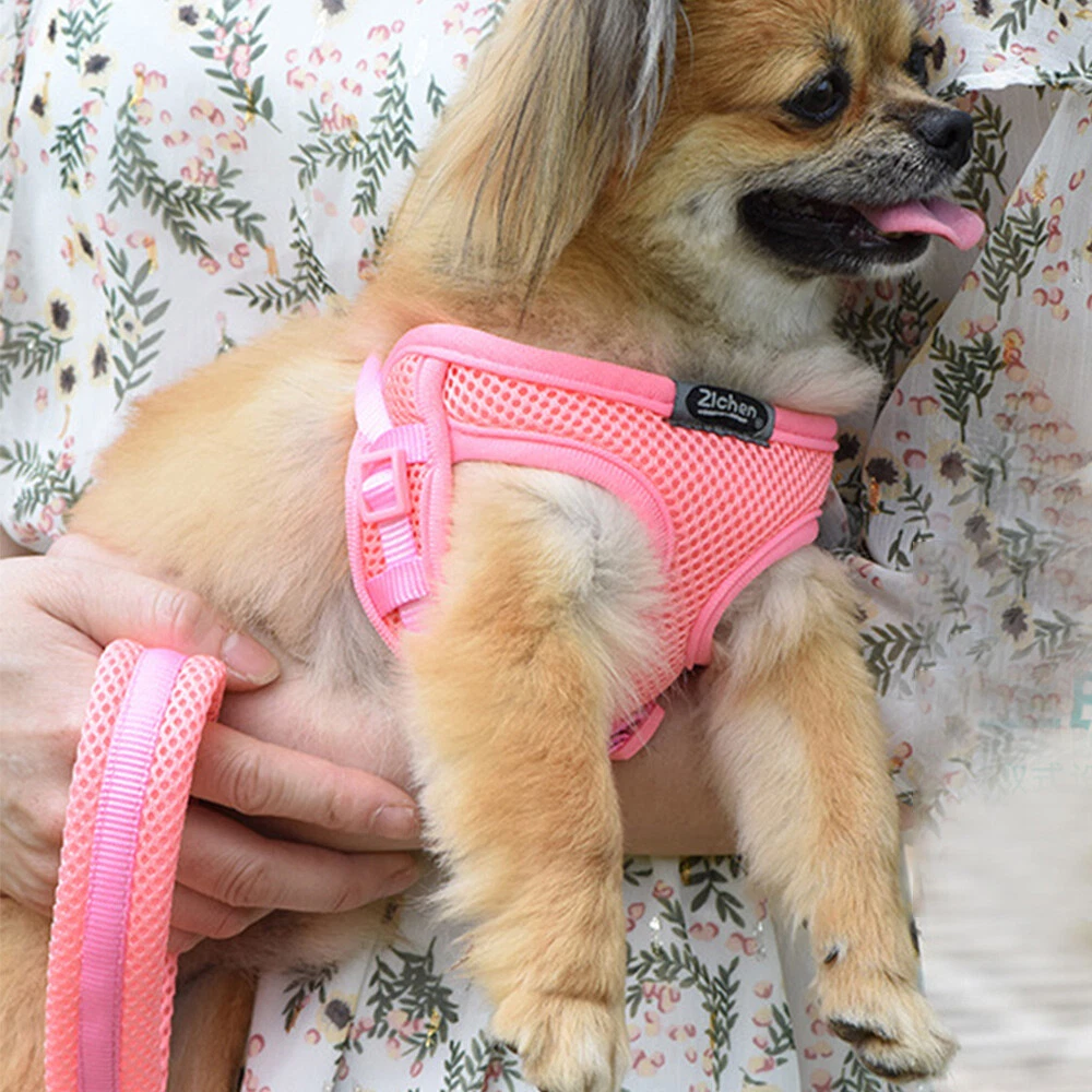 Dog Harness Vest Pet Accessory Chest Strap Dog Towing Rope Dog Rope Breathable