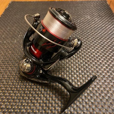 [Good Condition] Daiwa Moonlight Beauty XLT2000S Ajing Mebaring Spool Minor