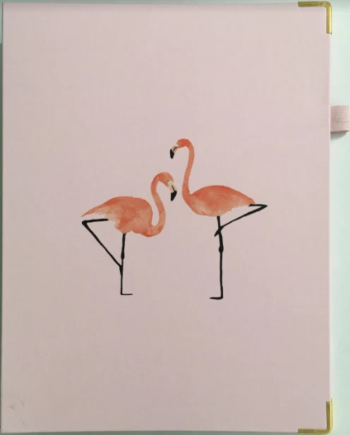 Mini Binder, Pastel Pink