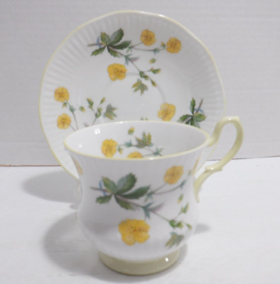 Rosina Queens Bone China Teacup and Saucer