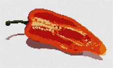 Pepper Needlepoint Kit or Canvas (Home)