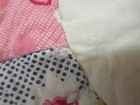 Picture 14 of 14