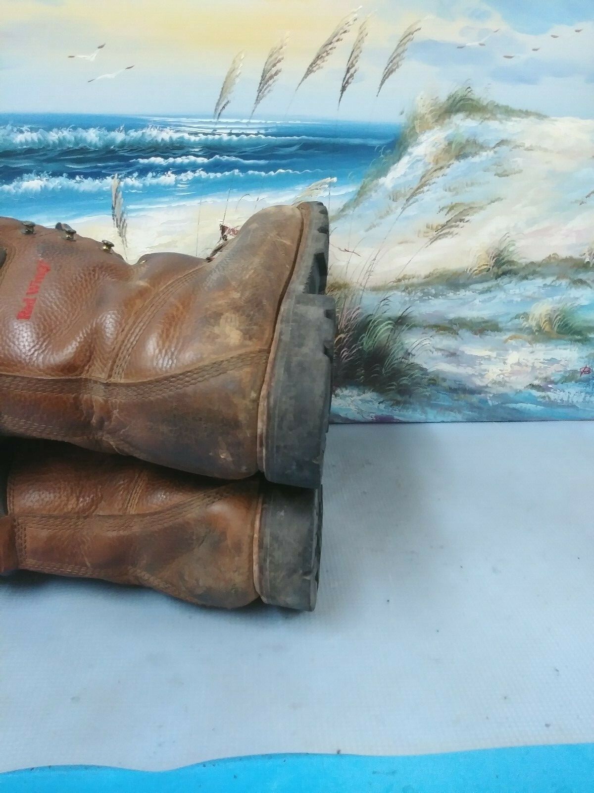Bild 11 von 11