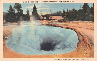Yellowstone Morning Glory Pool Hot Spring Geyser Now Emerald Green Postcard Z10
