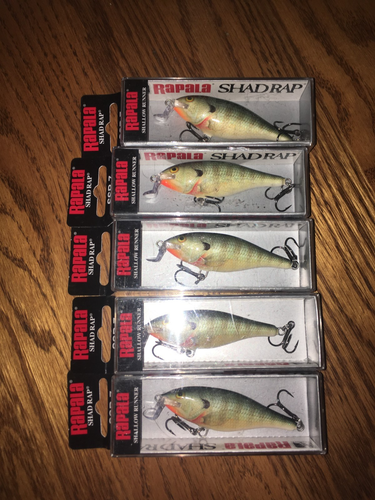 Leurre Rapala Shallow Shad Rap 5 - Crankbait Bois, Pêche En Eau Douce, Occasion