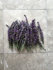 Organic Natural Air Dried Lavender Flowers USA California