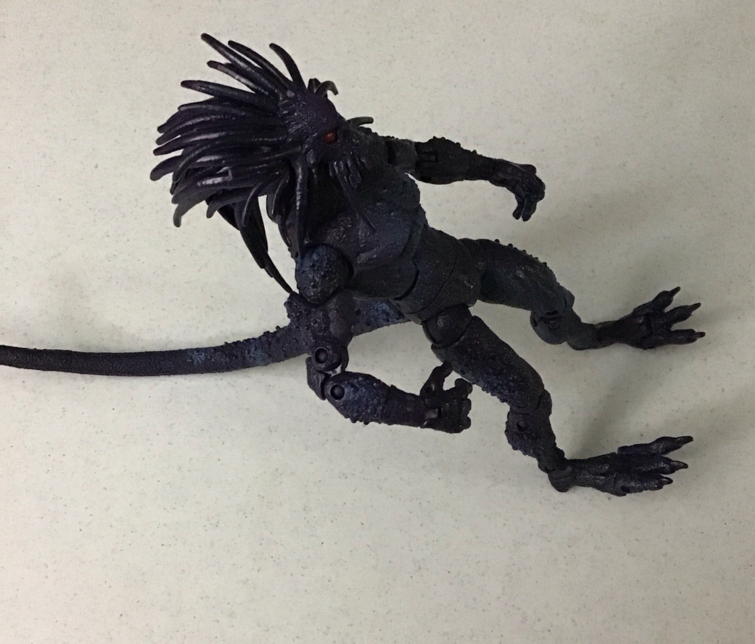 Picture 5 of 14