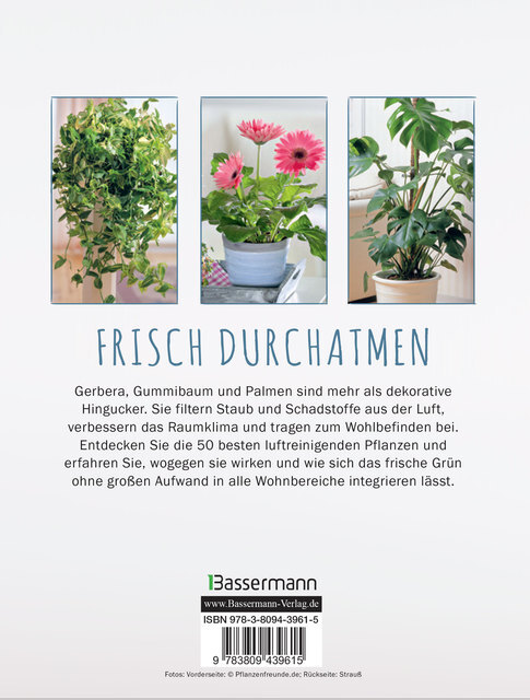 Thumbnail - Saubere Luft Mit Zimmerpflanzen Ursula Kopp