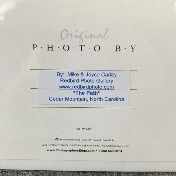 The Path Cedar Mountain North Carolina Blank Folded Card with Envelope Original - Image 3 of 4