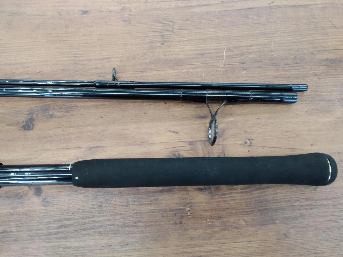 ロッド TEAMDAIWA-S S1303 Team Daiwa-S salt water S1303MHRS