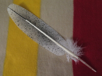 Native American Bald Eagle Tail Feather Hand painted, Simulated Bald Eagle