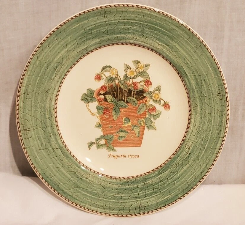 25+ Wedgwood Sarah S Garden for sale | Updated Oct 2026