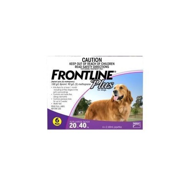 frontline large dog 6 pack