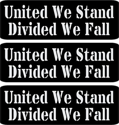 3 - United We Stand Divided We Fall Hard Hat Helmet Sticker