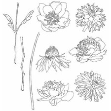 NEW Tim Holtz Stampers Anonymous "FLOWER GARDEN" Rubber Cling Stamp Set