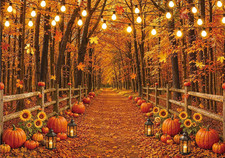 7X5Ft Fall Autumn Photography Backdrop with Maple Leaves, Pumpkin Farm Harvest