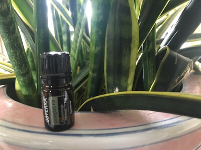 doTERRA Douglas Fir 5 mL Essential Oil  NEW & SEALED Exp 07/28
