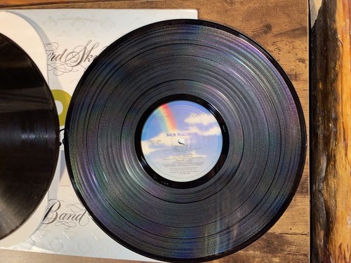 LYNYRD SKYNYRD "Gold & Platinum" - 1980 MCA w/Embossed Cover - Vinyl Record - Foto 16 di 17