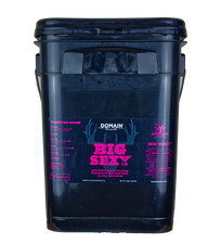 DOMAIN BSFP34      BIG SEXY