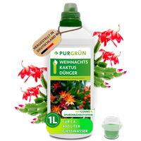 PurgrüN Weihnachtskaktus DüNger, Npk 5+7+8, Guano, BlüTenbildung, 1L