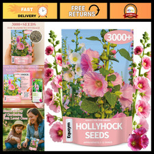 3000+ Bulk Hollyhock Seeds - Mixed-Color Perennial Flowers for Garden