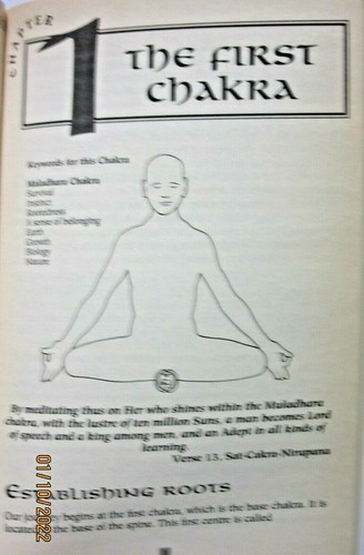 Chakras for Beginners by Naomi Ozaniec (1995, Trade Paperback) Collectible - Picture 12 of 12
