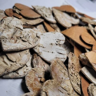 FLORISSIMA 100 Birkenherzen Herzen 2.5 cm Birkenrinde Streuteile Tischdekoration Hochzeit