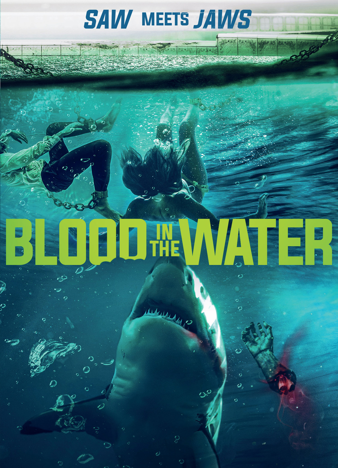 Blood In The Water (DVD) (US IMPORT) Region 1 NTSC