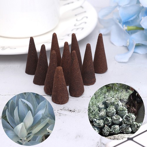 10 Pcs/set Blanc Sauge Pur Encens Cônes Fumé Purification Nettoyage Parfum - Photo 7/7