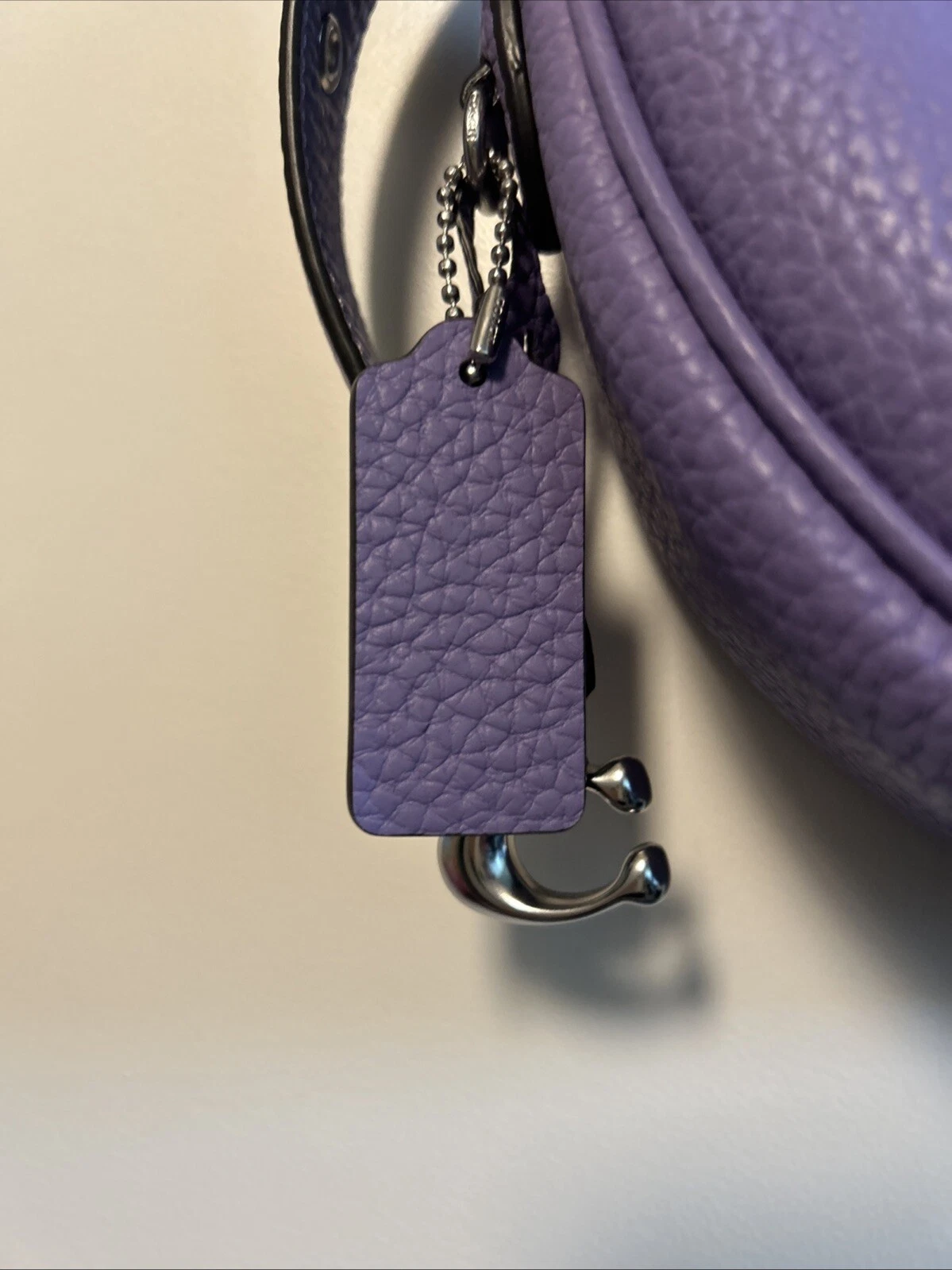 Coach Borsa a tracolla Luna in pelle di ciottoli mezzaluna viola chiaro ferramenta argento