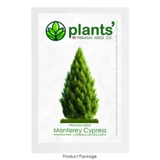 Monterey Cypress | Premium Seeds | Cupressus macrocarpa | Plants'®