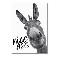 A4 Poster NICE ASS Lustiges Badezimmer Wandbild Deko Bad WC Geschenk OHNE RAHMEN