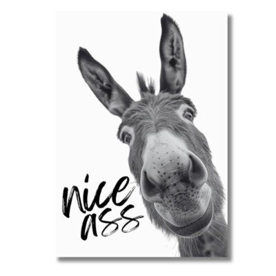 A4 Poster NICE ASS Lustiges Badezimmer Wandbild Deko Bad WC Geschenk OHNE RAHMEN