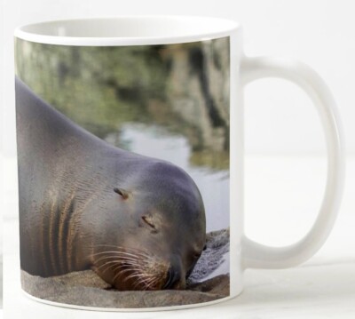 Schlafender Seelöwe - Kaffeetasse - Teetasse - lustig - Geschenk Neuheit Weihnachten