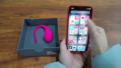 APP Vibrator mit Fernbedienung G-Punkt Dildo Vibratoren Sexspielzeug fr  Paare | eBay.de