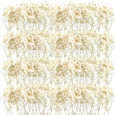 2-4" Mini Dried Baby's Breath Flowers 50 PCS Natural Ivory Gypsophila Bulk