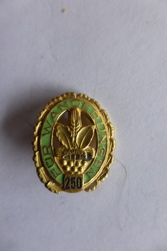 Hiking Badge for 250 Hikes Honor Pin Badge Enamel Gold Plated