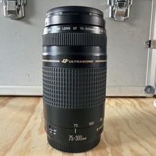 Canon EF 75-300mm f/4-5.6 II USM Zoom Lens - Fungus