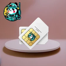 GLOBAL Data SIM Card INRICO ANYSECU TXQ G6 ANNUAL PREPAY Zello RealPTT 🇺🇸 Ship