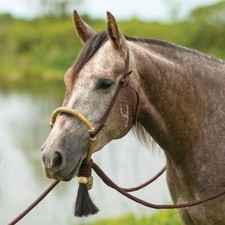 Schneiders Double S Bosal Hanger with Bosal Versatile Horse Training Gear