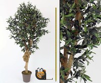 Oliven Kunstbaum 175Cm Mit Dicken Naturstamm 2560 BläTter Von Ibizanos