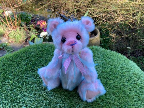 Kaycee Bears Gobstopper Limited Edition of 30 numbered 9 - BEAR SHOP - Picture 8 of 18