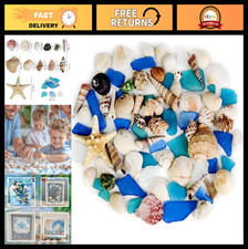 Natural Mixed Seashells  Sea Glass 1-2.8" 16.5 OZ  Beach Party Decor, Coastal