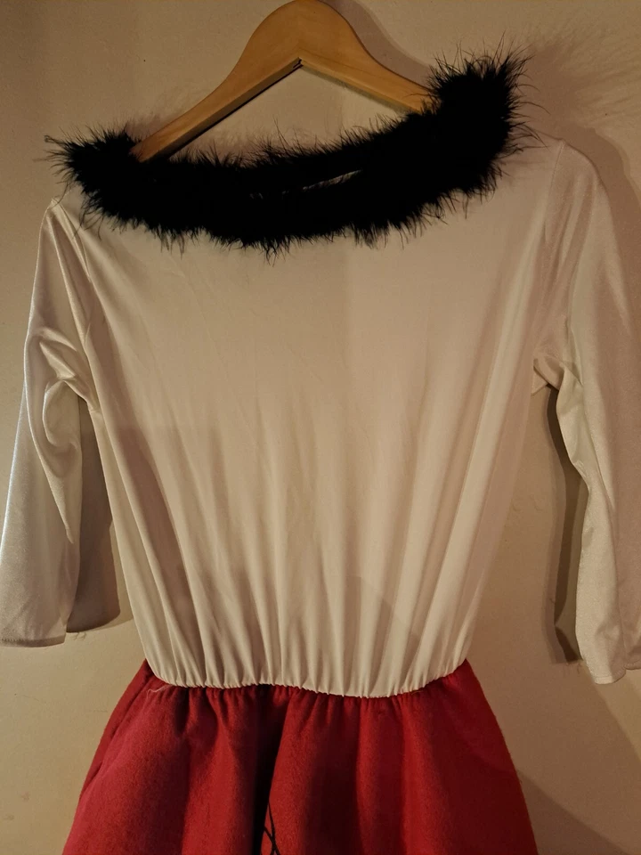Retro Años 50 SOCK HOP Falda Anillo Imitación Piel Vestido Halloween Disfraz ADULTO M-L Foto 2 de 4
